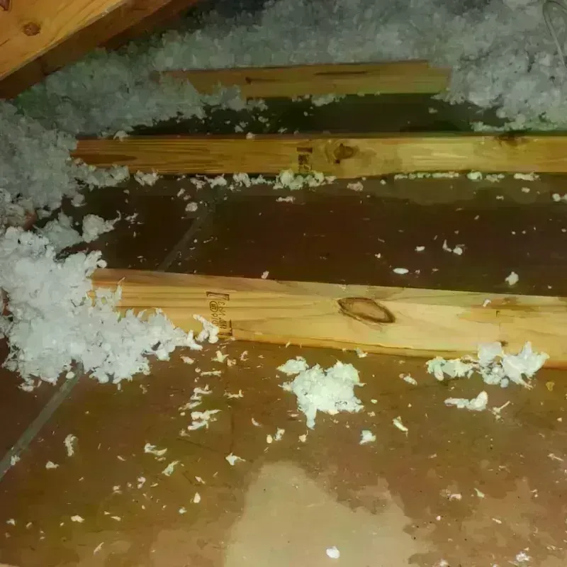 Attic Water Damage in Edmonton, KY